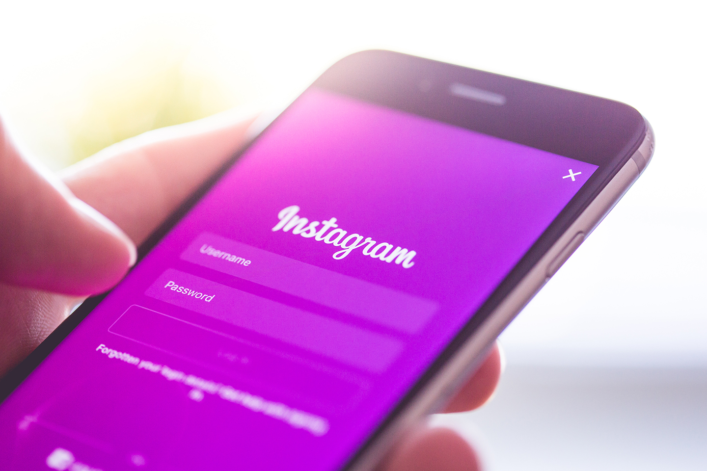 Social media marketing for SMEs image